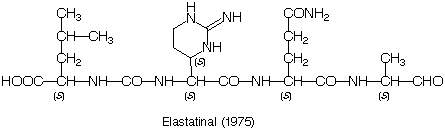 Elastatinal_1