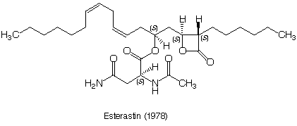 Esterastin_1