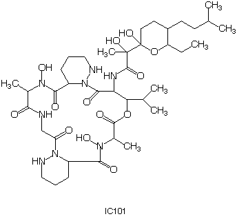 IC101_1