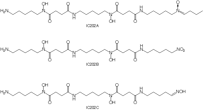 IC202_1