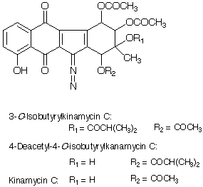 Kinamycin analogs_1