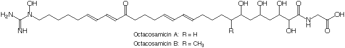 Octacosamicin_1