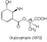 Oryzoxymycin_1