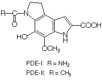 PDE-I/PDE-II_1