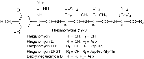 Pheganomycin_1