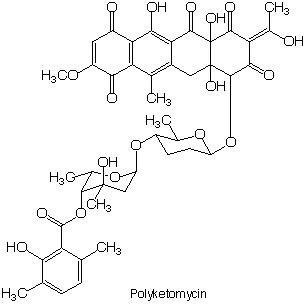 Polyketomycin_1