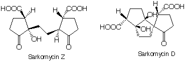 Sarkomycin_1