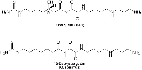 Spergualin_1