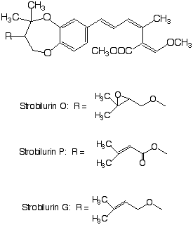 Strobilurin_1