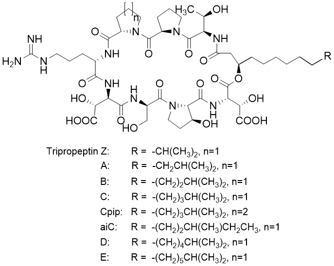 Tripropeptin_1