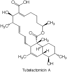 Tubelactomicin_1