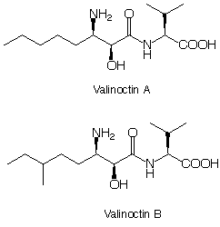 Valinoctin_1