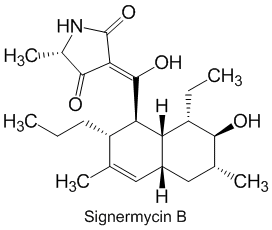 Signermycin B_1