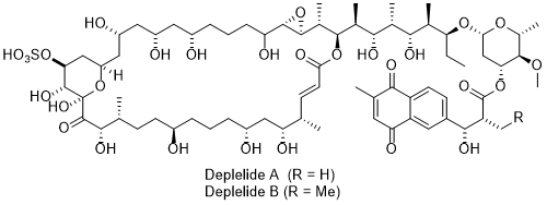 Deplelide_1