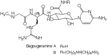 Bagougeramine_1