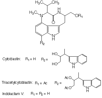 Cytoblastin_1