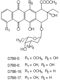 D788_1