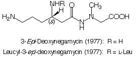 Deoxynegamycin_1