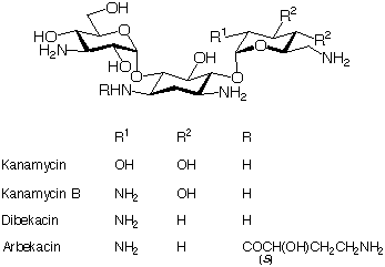 Dibekacin_1