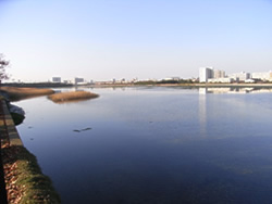 Fig. 4 A panoramic view of Yatsuhigata