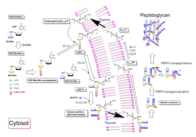 Fig. 2